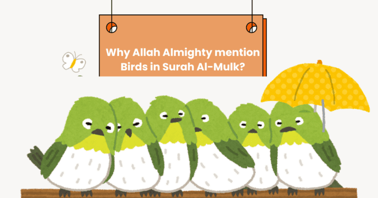 Birds in Surah Al-Mulk