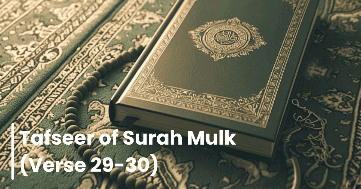 Tafseer of Surah Mulk (Verse 29-30)