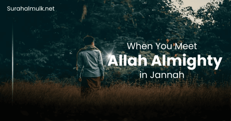 When You Meet Allah Almighty in Jannah