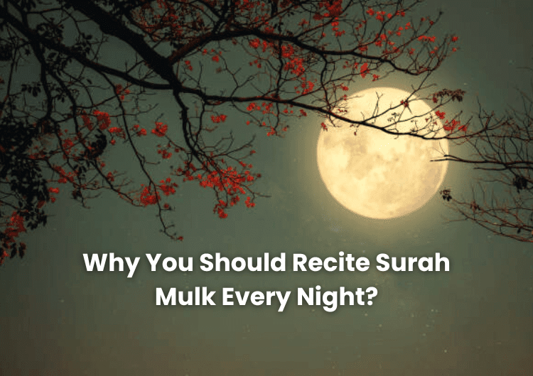 Why You Should Recite Surah Mulk Every Night?