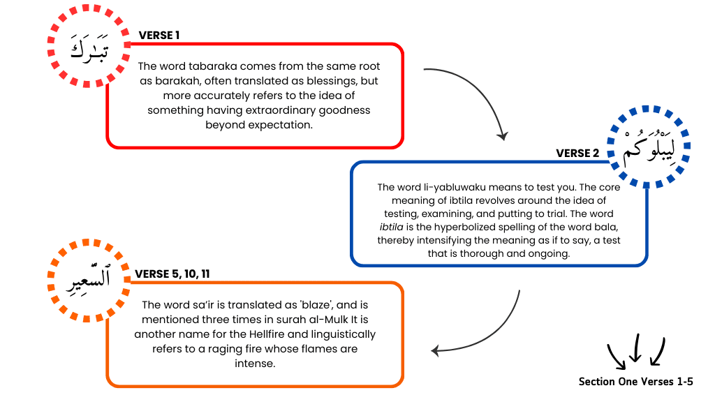 section one verse 1-5