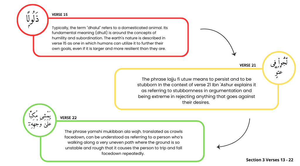 section three of surah mulk